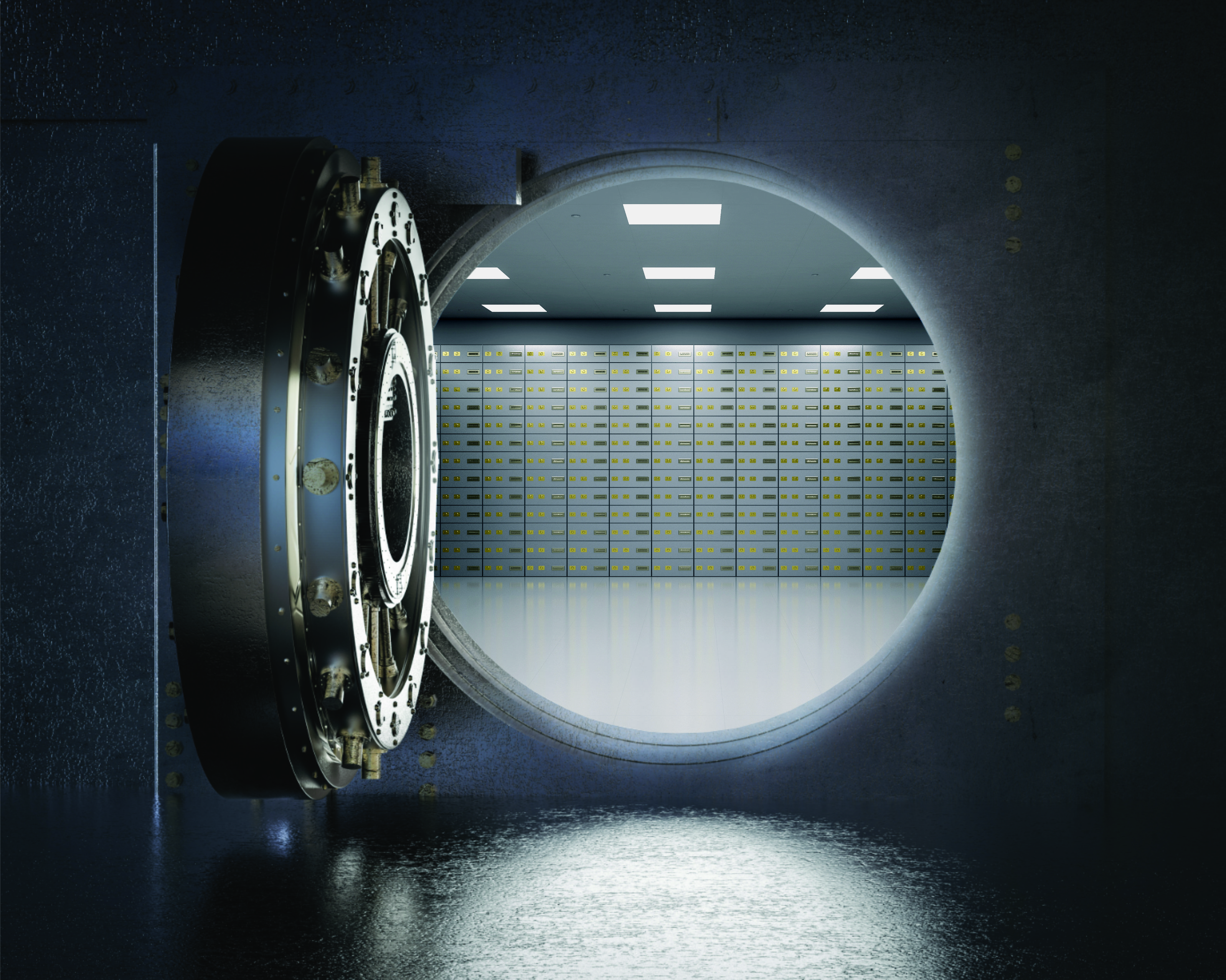 Securepoint Unified Backup for business Open vault with many lockers