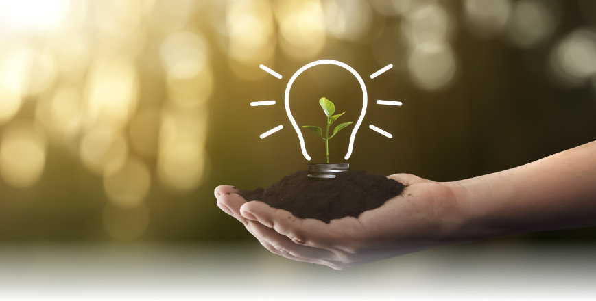 We focus on sustainability and responsibility An idea grows from a plant